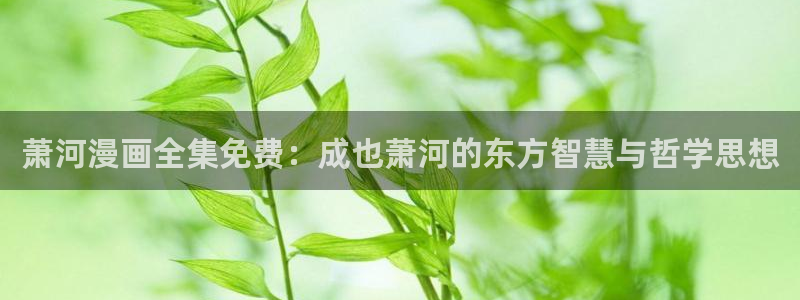 汗汗漫画免费登录入口界面：萧河漫画全集免费：成也萧河的东方智慧与哲学思想