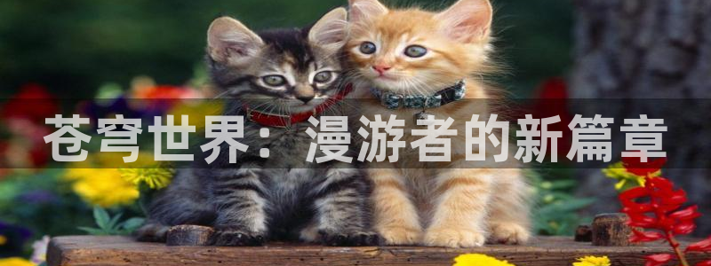 汗汗漫画无遮挡在线观看歪歪：苍穹世界：漫游者的新篇章
