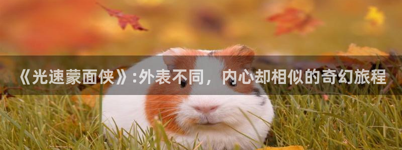 汗汗漫画排行榜：《光速蒙面侠》:外表不同，内心却相似的奇幻旅程