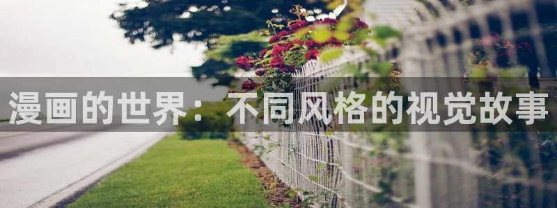 汗汗漫画在线进入入口：漫画的世界：不同风格的视觉故事