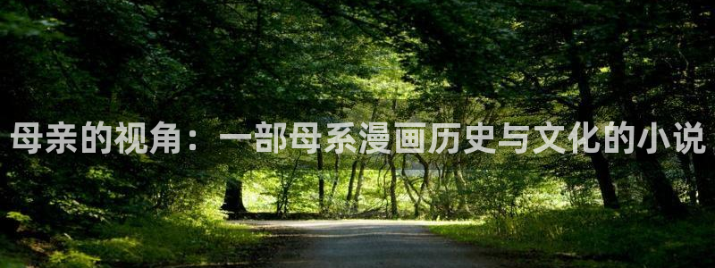 歪歪漫画一一汗汗漫画：母亲的视角：一部母系漫画历史与文化的小说