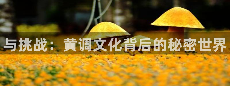 汗汗漫画官网在线观看：与挑战：黄调文化背后的秘密世界