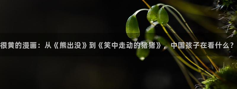 汗汗漫画网页：很黄的漫画：从《熊出没》到《笑中走动的猪猪》，中国孩子在看什么？