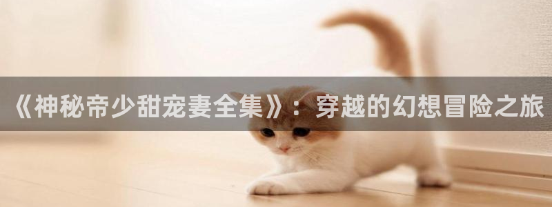 韩漫汗汗漫画：《神秘帝少甜宠妻全集》：穿越的幻想冒险之旅