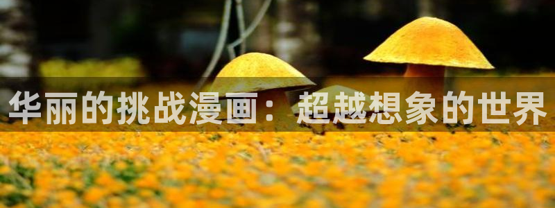 韩国漫画汗汗漫画：华丽的挑战漫画：超越想象的世界