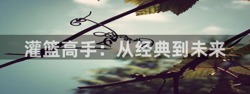汗汗漫画官网在线观看：灌篮高手：从经典到未来
