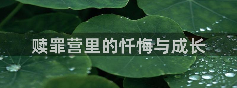 汗汗漫画登录页面：赎罪营里的忏悔与成长