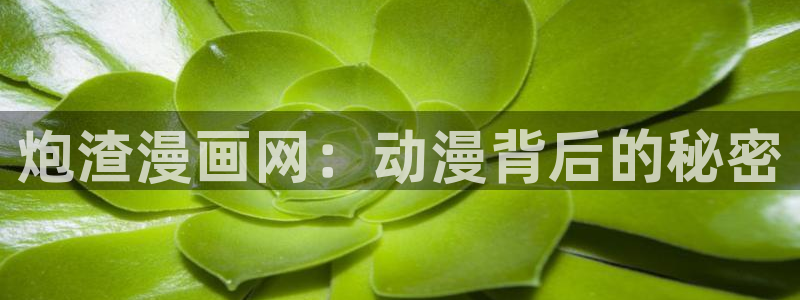 歪歪漫画—汗汗漫画：炮渣漫画网：动漫背后的秘密