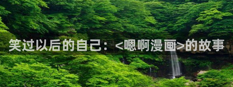 汗汗漫画51：笑过以后的自己：<嗯啊漫画>的故事