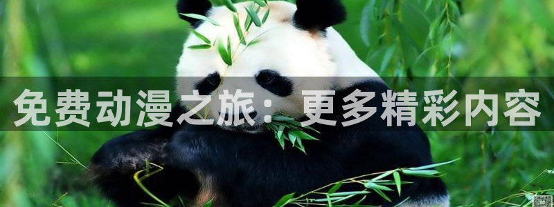 yy汗汗漫画在线观看：免费动漫之旅：更多精彩内容