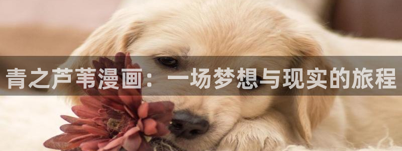 汗汗漫画网免费阅读下拉式：青之芦苇漫画：一场梦想与现实的旅程