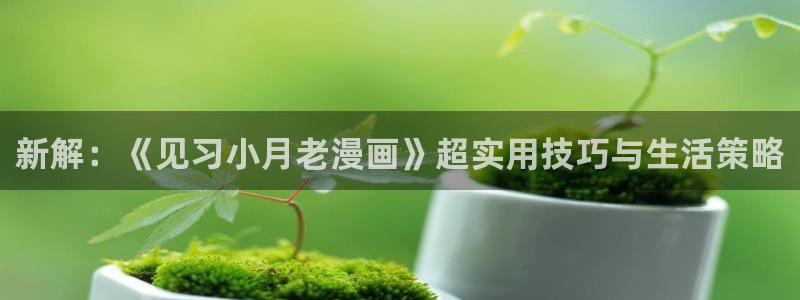 汗汗漫画登陆页面：新解：《见习小月老漫画》超实用技巧与生活策略