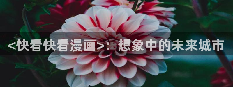 韩漫网站汗汗漫画：<快看快看漫画>：想象中的未来城市