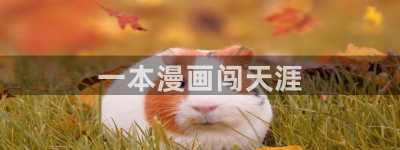 嘿咻汗汗漫画：一本漫画闯天涯