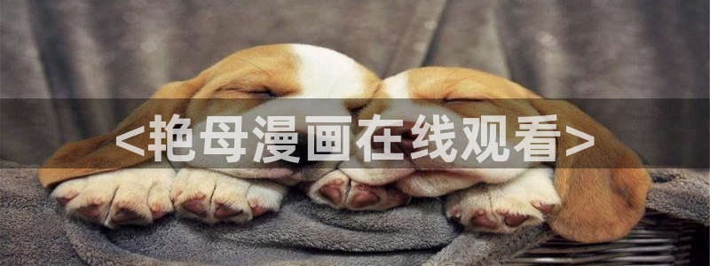 汗汗漫画看：<艳母漫画在线观看>