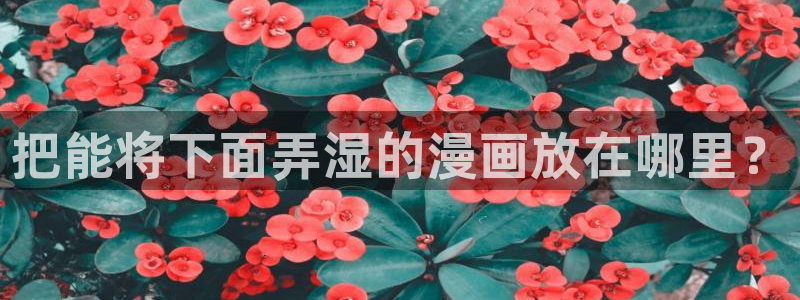 汗汗漫画网官网：把能将下面弄湿的漫画放在哪里？