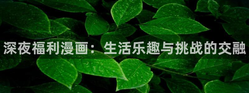 汗汗漫画全部：深夜福利漫画：生活乐趣与挑战的交融